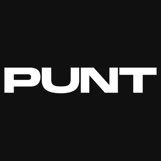 Punt.com Casino logo